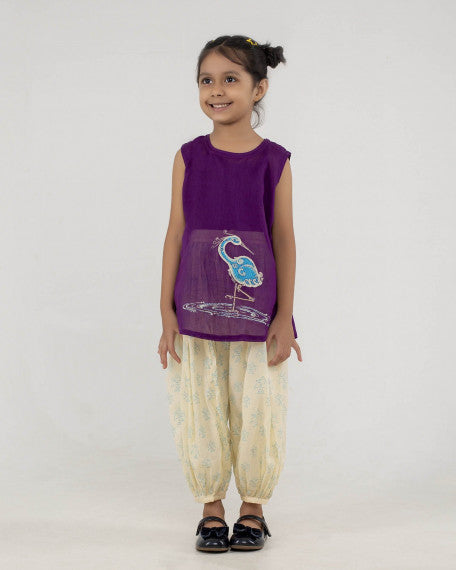 Girls Hand Embroidered Cotton 2 Piece Outfit Set – Sleeveless Top & Printed Pants, Soft Breathable Ethnic Wear