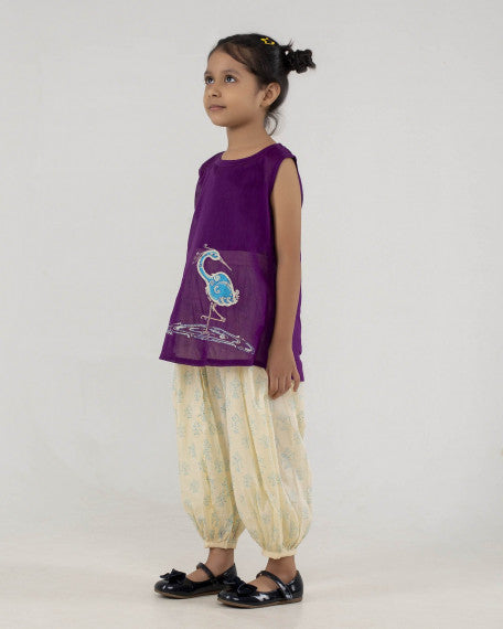Girls Hand Embroidered Cotton 2 Piece Outfit Set – Sleeveless Top & Printed Pants, Soft Breathable Ethnic Wear