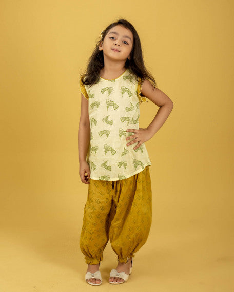 Girls Hand Embroidered Cotton 2 Piece Outfit Set – Soft Breathable Top & Printed Pants, Lightweight Ethnic Casual Wear